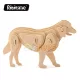 rowood 3D Wooden Puzzle Pets Dog 24 Pieces JP111