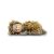 Anne Geddes Baby Hedgehog Doll 579154