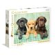 Clementoni Puzzle Three Labradors 39279 High Quality 1000 pieces