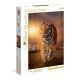 Clementoni Puzzle Tiger 31806 High Quality Collection 1500 pcs