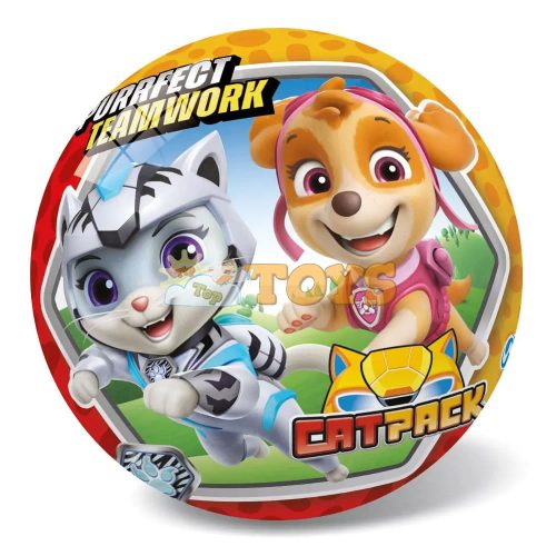 Rubber ball for children Paw Patrol 14cm Catpack
