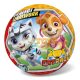 Rubber ball for children Paw Patrol 14cm Catpack