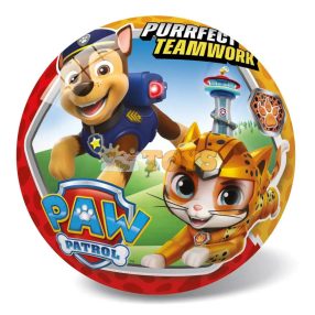Rubber ball for children Paw Patrol 23cm Catpack