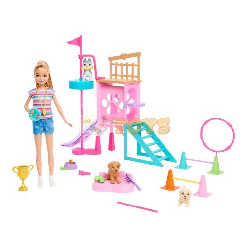 Barbie Stacie at the Playground HRM10 Playset with Accessories