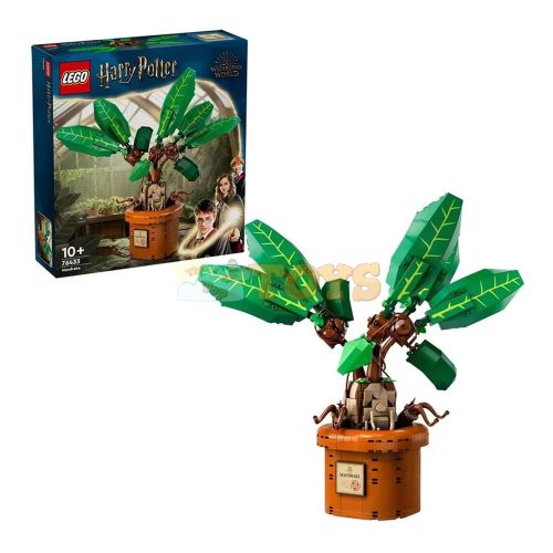 LEGO® Harry Potter Matraguna 76433 - 579 pieces