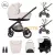 Lorelli 3-in-1 Baby Stroller Bianca, individual bassinet / carrycot, included Aria Luxe car seat, aluminum frame, up to 22 kg, Beige Latte